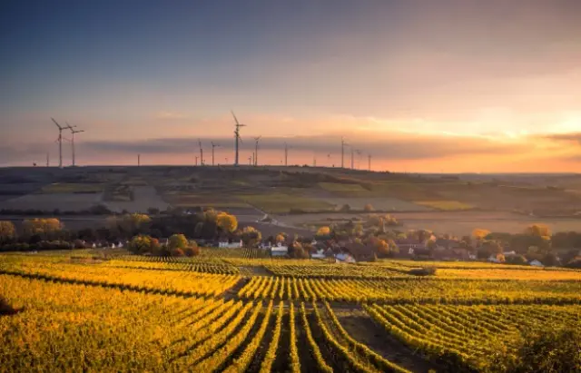 Wind turbines at sunset